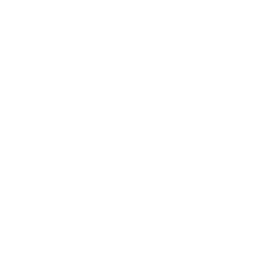 cerebro