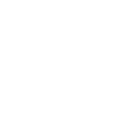CV