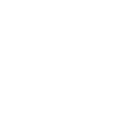 diagrama de flujo