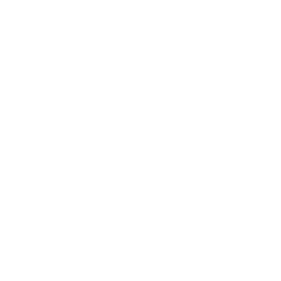 moneda euro